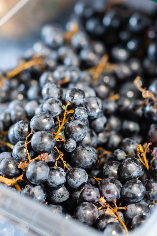 Du raisin bio au menu du restaurant scolaire de Nort-sur-Erdre - Agrandir l'image, . 0octets (fenêtre modale)
